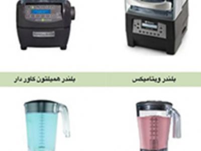 بلندر همیلتون بیچ